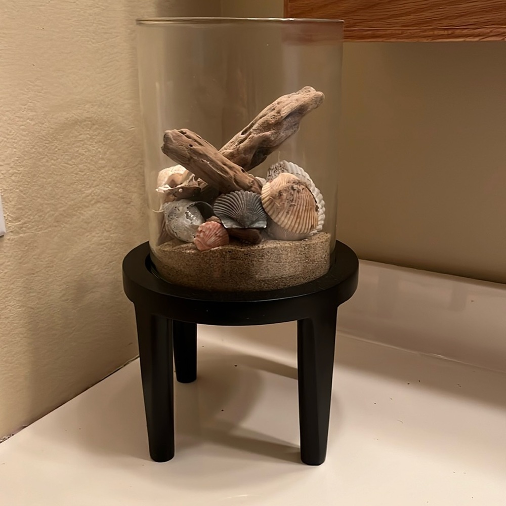 Seashells with sand and stand in glass vase
